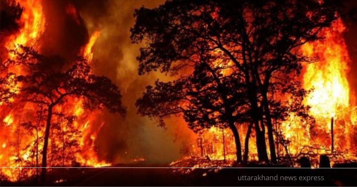 12 घंटे में उत्तराखंड के 8 स्थानों पर जंगलो में लगी धुआंधार आग, 214 हेक्टेयर जंगल जला