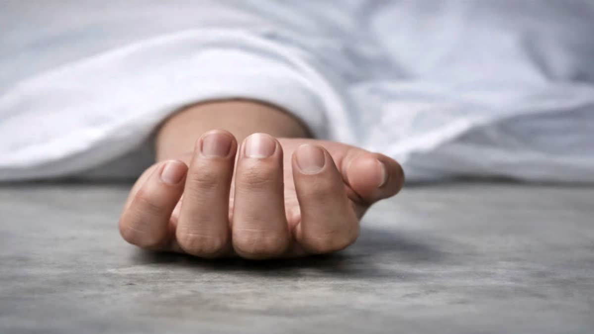 1200-675-26837491-thumbnail-16x9-pp2
