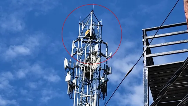 rishikesh-tower-1790574077147_v