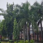 1200 675 27987836 thumbnail 16x9 arnab cyclone