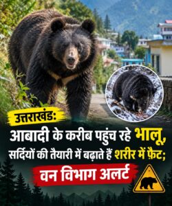 WhatsApp Image 2026-10-14 at 12.13.13